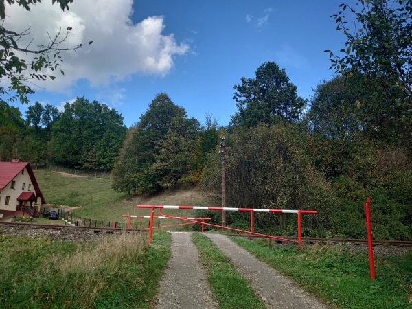 Grzegorz Wójcik: „Dochodzimy do przysłowiowej ściany, ale piłka jest jeszcze w grze”. Na sesji o przejazdach kolejowych