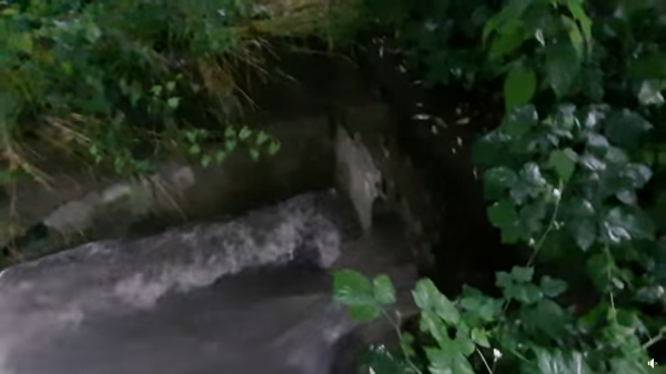 Skandal, degradacja środowiska i wysokie rachunki – radny Michał Liszka kolejny raz alarmuje w sprawie oczyszczalni ścieków