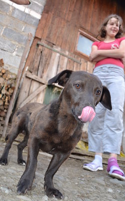 Mszana Dolna. Murzyn staranował bmw? Właściciel w to nie wierzy