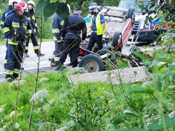 Wypadek na "krajówce". Koń nie przeżył zderzenia z samochodem