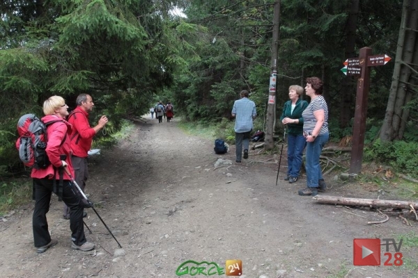 GPN usunął szkody majowych wichur w Porębie Wielkiej