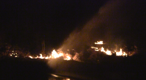 Pożar traw w Limanowej