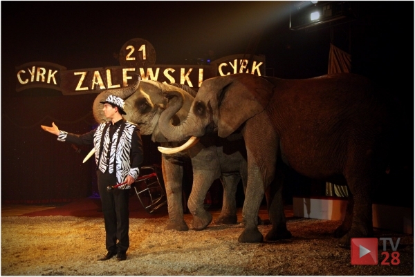 Rozdajemy darmowe wejściówki do cyrku Zalewski, który wystąpi w Limanowej i Mszanie Dolnej