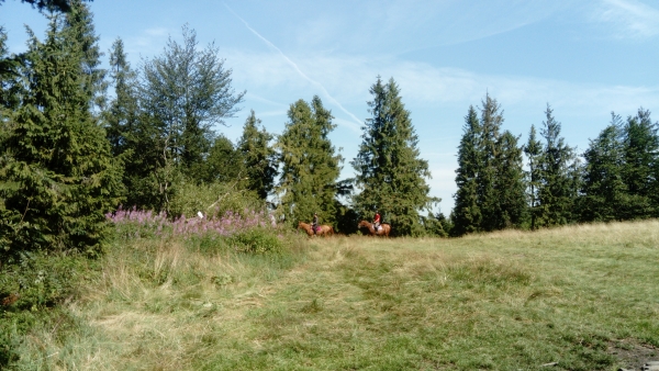 Piękne widoki na Łopieniu. Warto indywidualnie odkrywać Beskid Wyspowy