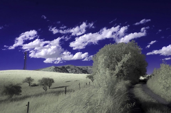 Pańskie i Adamczykowa inaczej. Nowy cykl fotografii Roberta Łabuza