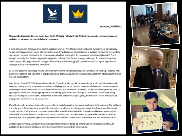 Czy wprowadzenie podatku rozwiąże problem bezpańskich zwierząt? Młodzi dla Wolności interweniują u samorządowców i parlamentarzystów