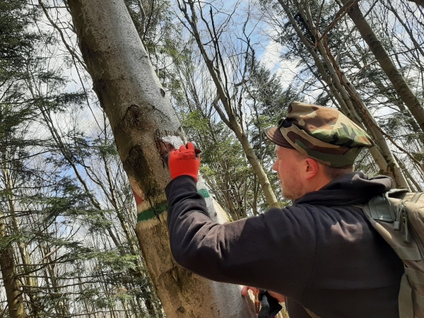 Ścieżka historyczna będzie jak nowa. Rozpoczęły się prace remontowe