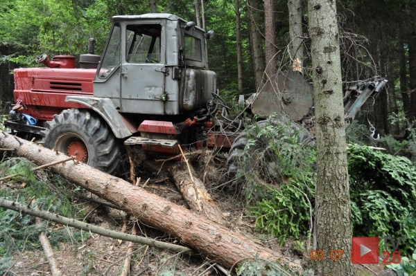 Łukowica. Zginął podczas zwózki drzewa