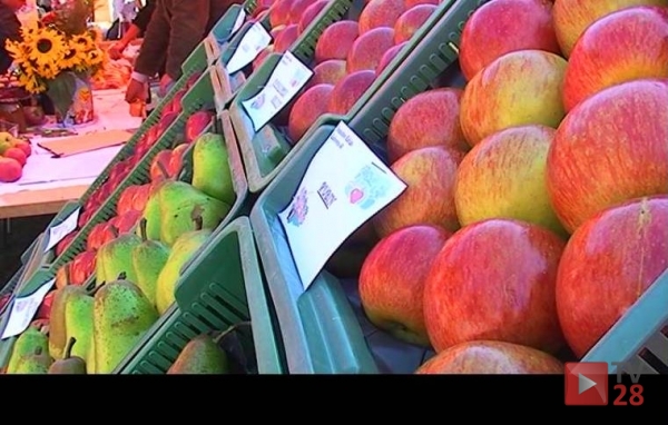 Tłumy na łukowickim święcie owocobrania