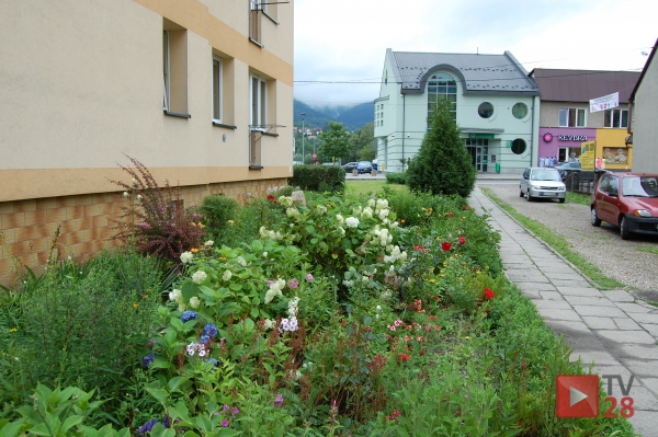 Mszana Dolna. "Miłośnicy" kwiatów, szkoda że cudzych