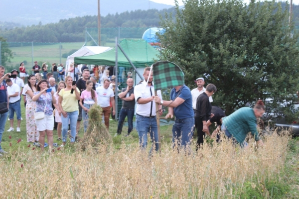 Wspólne koszenie zboża i przygotowywanie snopków, czyli „Zagródczańskie omłoty”
