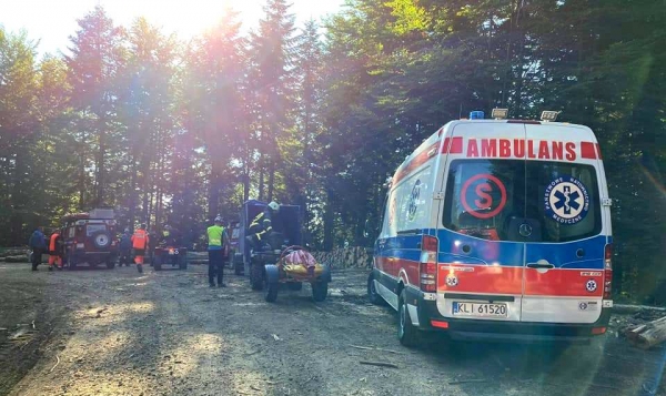 Wypadek podczas ścinania drzewa w masywie Łopienia