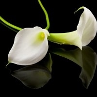 Zmarł współzałożyciel "Kasinian – Zagórzan"