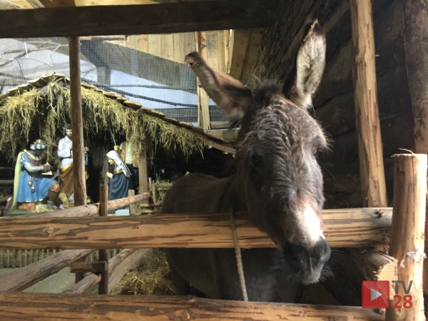 Cystersi zapraszają mieszkańców regionu do odwiedzenia żywej szopki