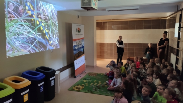 W przedszkolach i szkołach o przyrodzie i ekologii. Zakończył się projekt „Akademia Małej Salamandry i Głuszca”