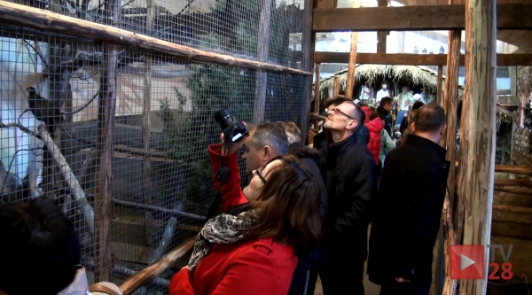 Żywa szopka u Cystersów w Szczyrzycu