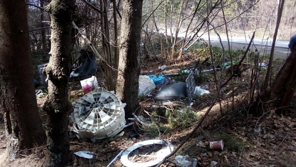 Leśny recykling. Przy drodze powiatowej zalegają śmieci