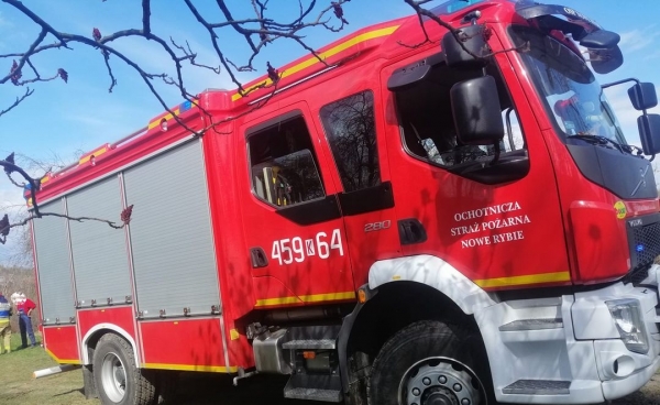 Starszy mężczyzna przygnieciony przez drzewo