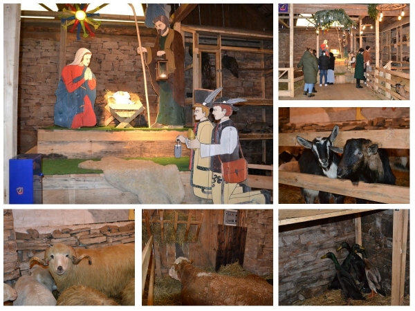 Orkiestra św. Sebastiana zaprasza do odwiedzania żywej szopki do 14 stycznia