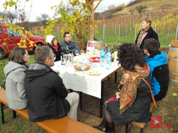 Szczepanowice. Dni otwarte małopolskich winnic