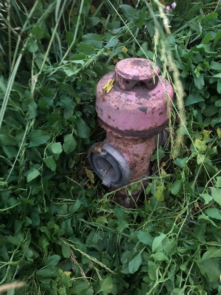 – Wszystkie hydranty należy niezwłocznie doprowadzić do użyteczności – mówi radny Kamil Korda. W interpelacji domaga się konkretnych działań