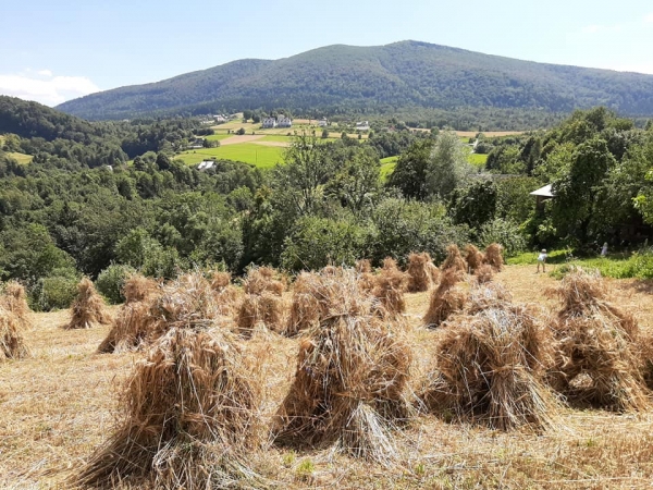 Takie widoki to teraz rzadkość. Galeria zdjęć Małgorzaty Lis