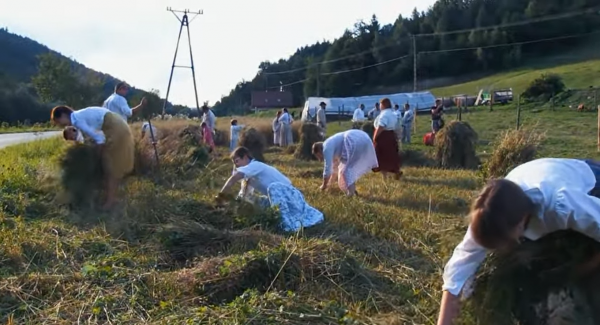 Jak przebiegały tradycyjne żniwa? Zapraszamy do obejrzenia filmu