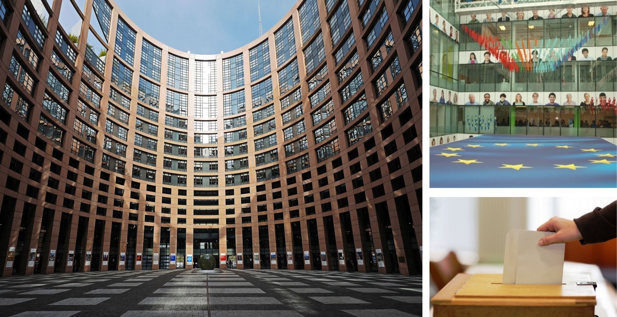 Znamy wyniki wyborów do Parlamentu Europejskiego. Okręg nr 10: Braun, Jarubas, Szydło, Tarczyński, Mularczyk, Sienkiewicz, Marczyłajtis