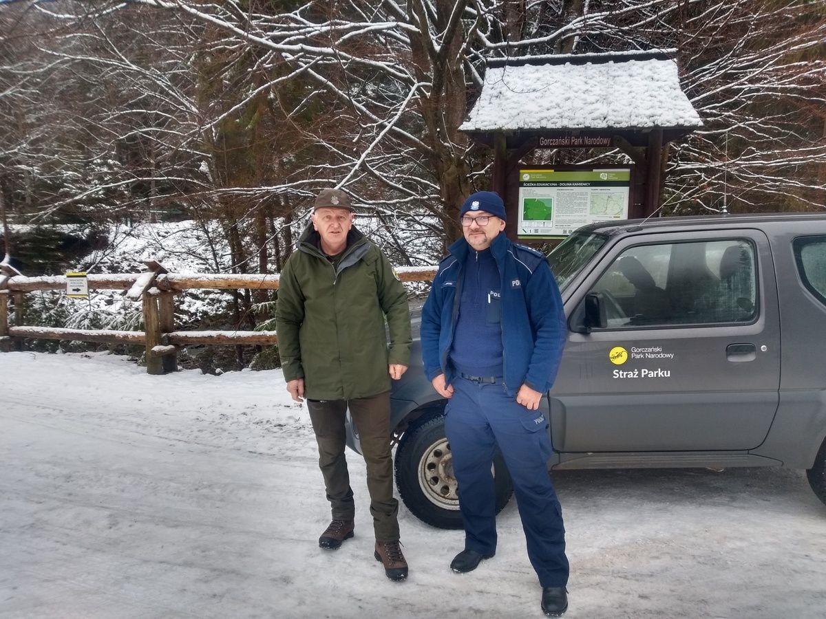 Kradzież i nielegalna wycinka choinek. Ruszają patrole policji i strażników GPN