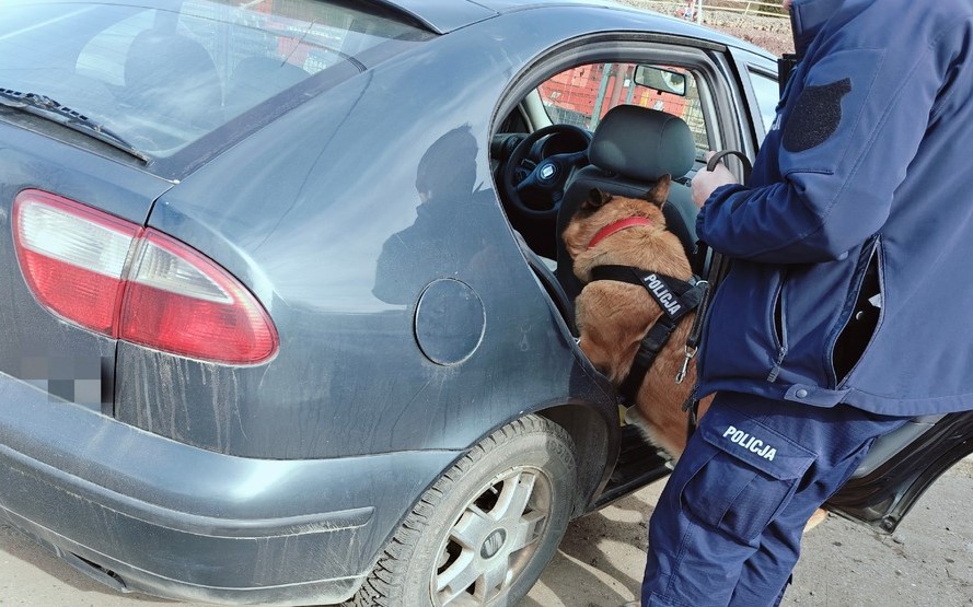 Limanowa. Podczas kontroli policjanci znaleźli substancje psychoaktywne