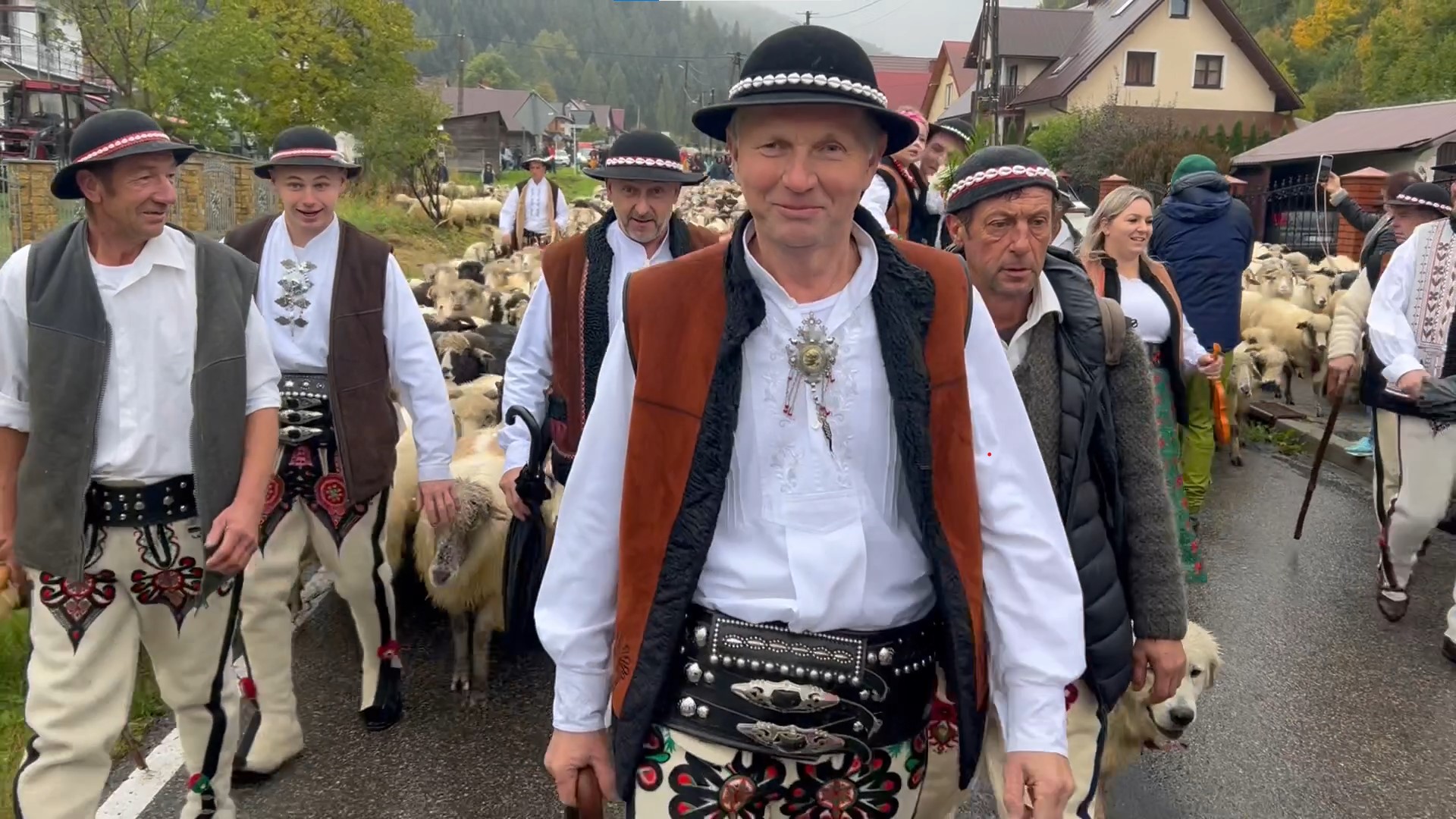 Gorczański redyk jesienny z Jaśkiem Lupą