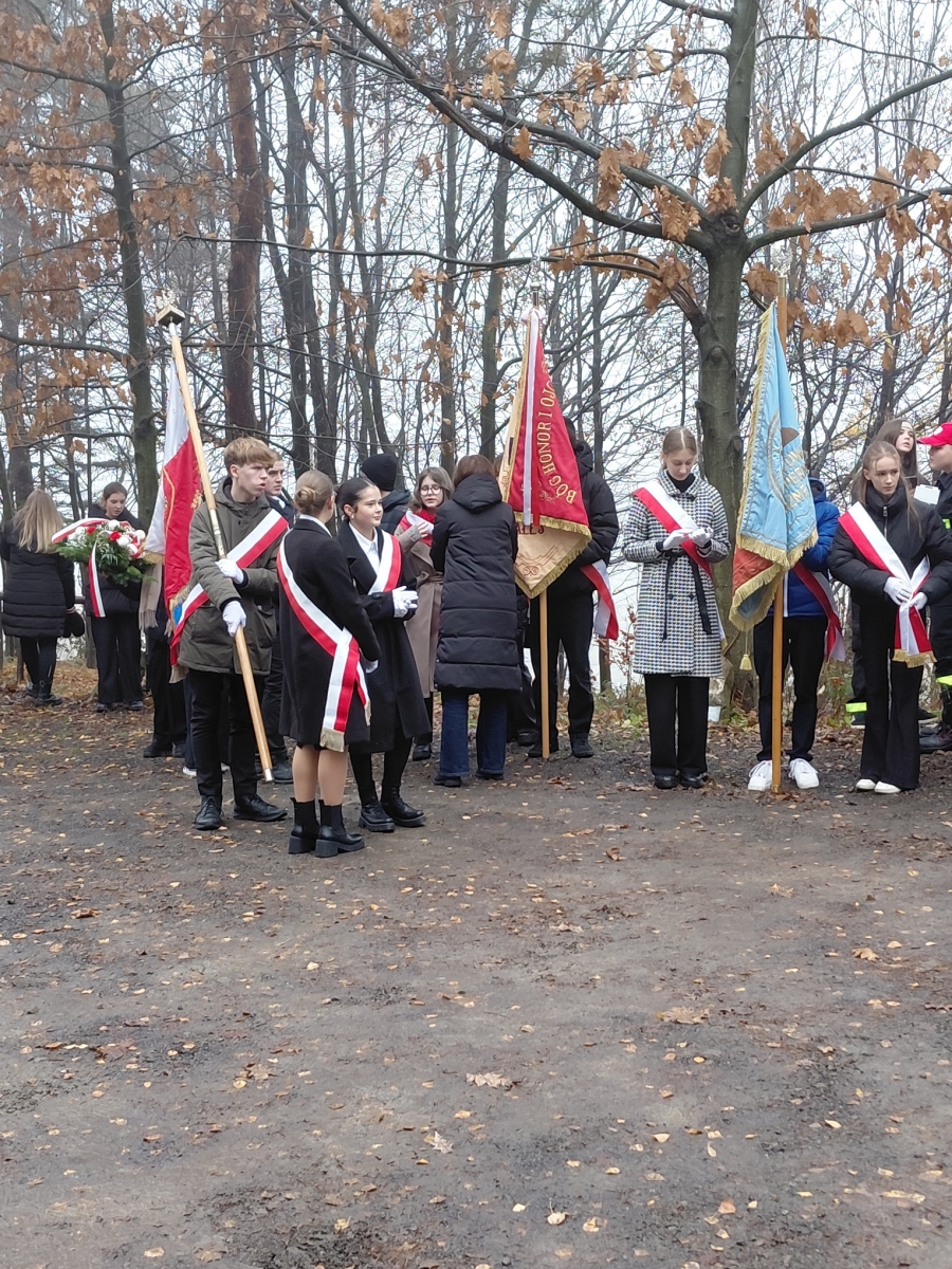 Uroczystości na cmentarzu wojennym w Kamionce Małej