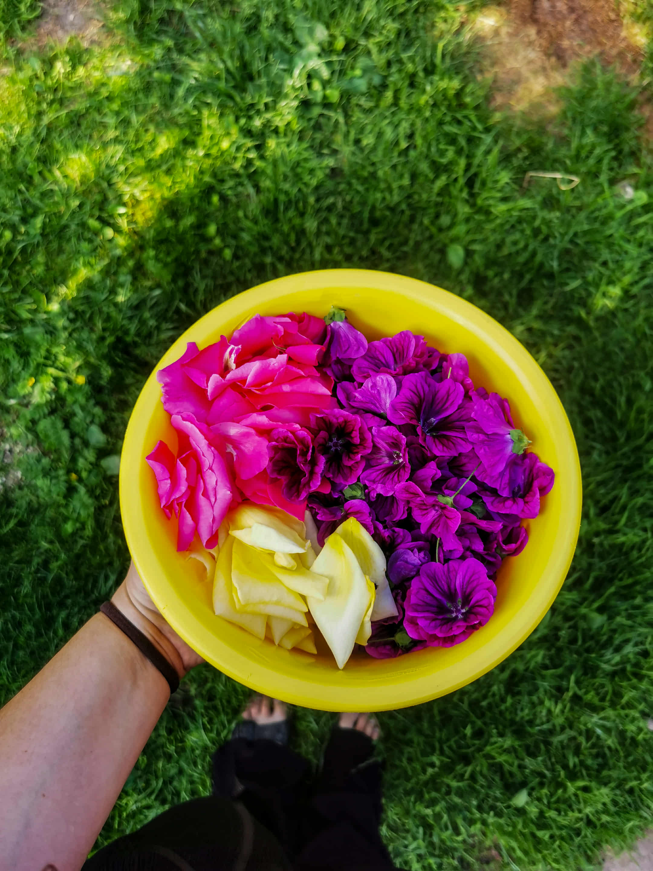 „Wyspowy zielnik” w konkursie Małopolska Lokalnie. Głosowanie trwa do 11 listopada