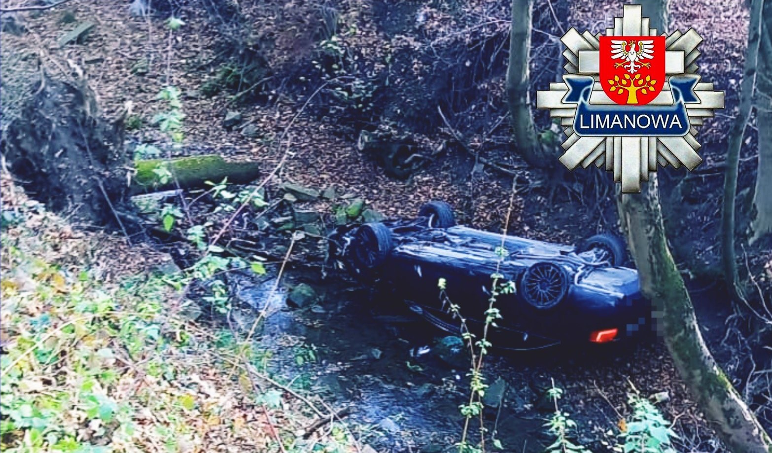 Wilkowisko. 20-latek miał dużo szczęścia, stracił panowanie nad samochodem i wjechał do potoku