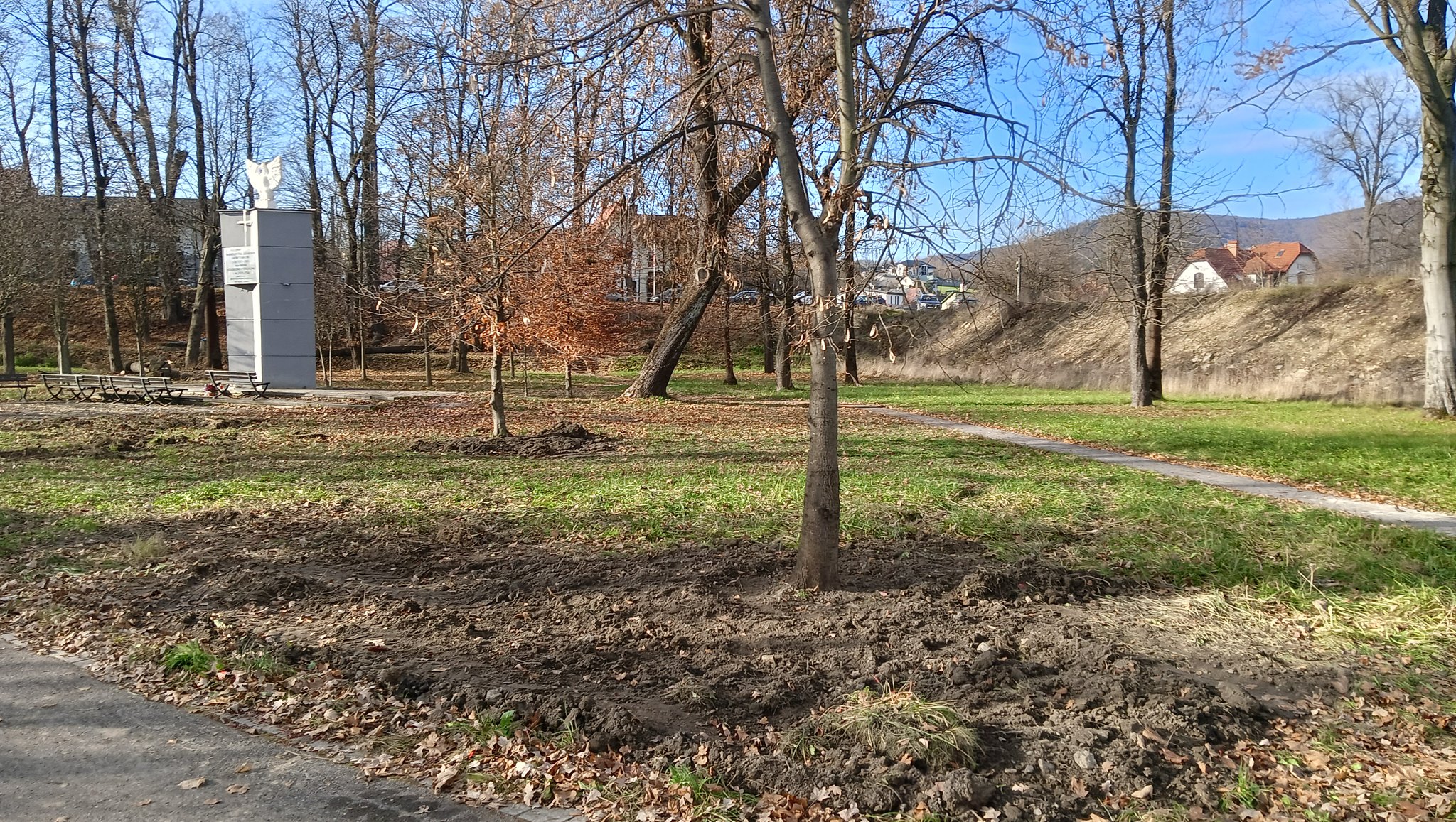 Burmistrz Agnieszka Orzeł: „W parku wycięto tylko te drzewa, których nie dało się uratować”