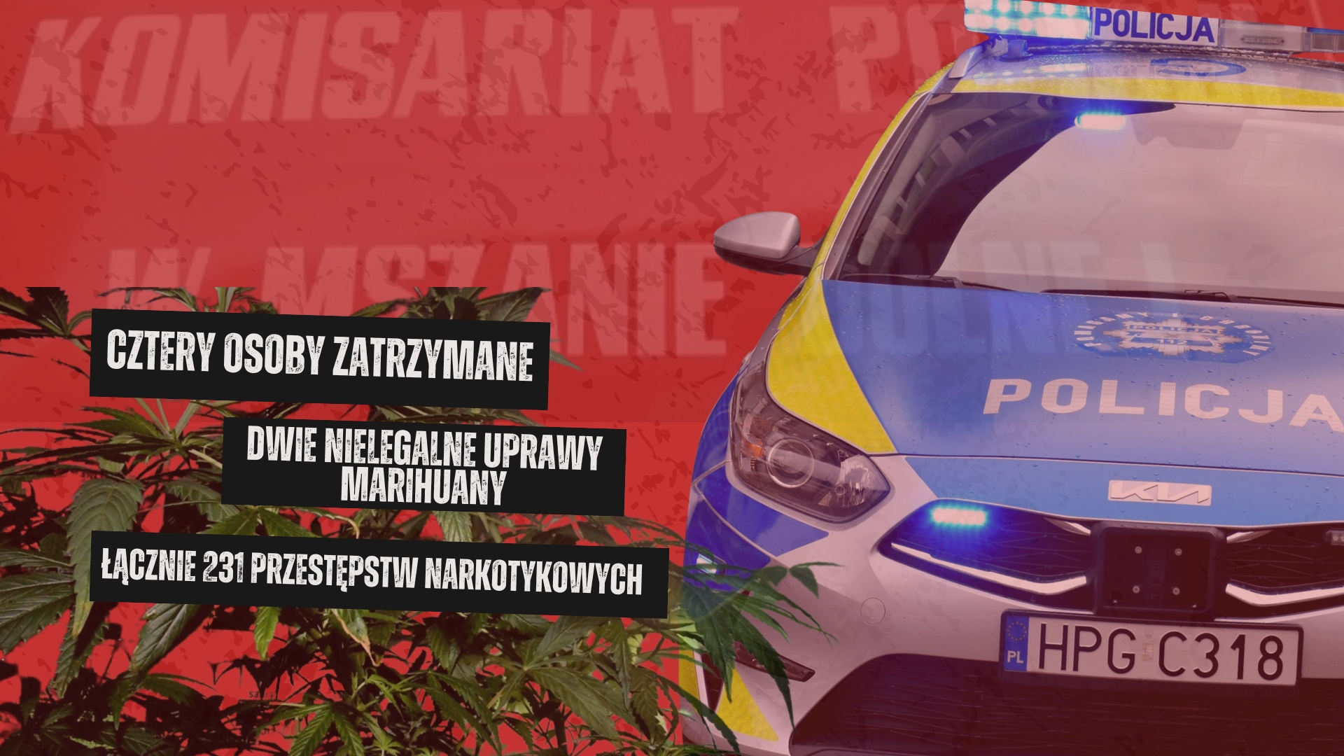 Narkotykowa akcja mszańskich policjantów: cztery osoby zatrzymane, nielegalne uprawy marihuany, mefedron, metamfetamina