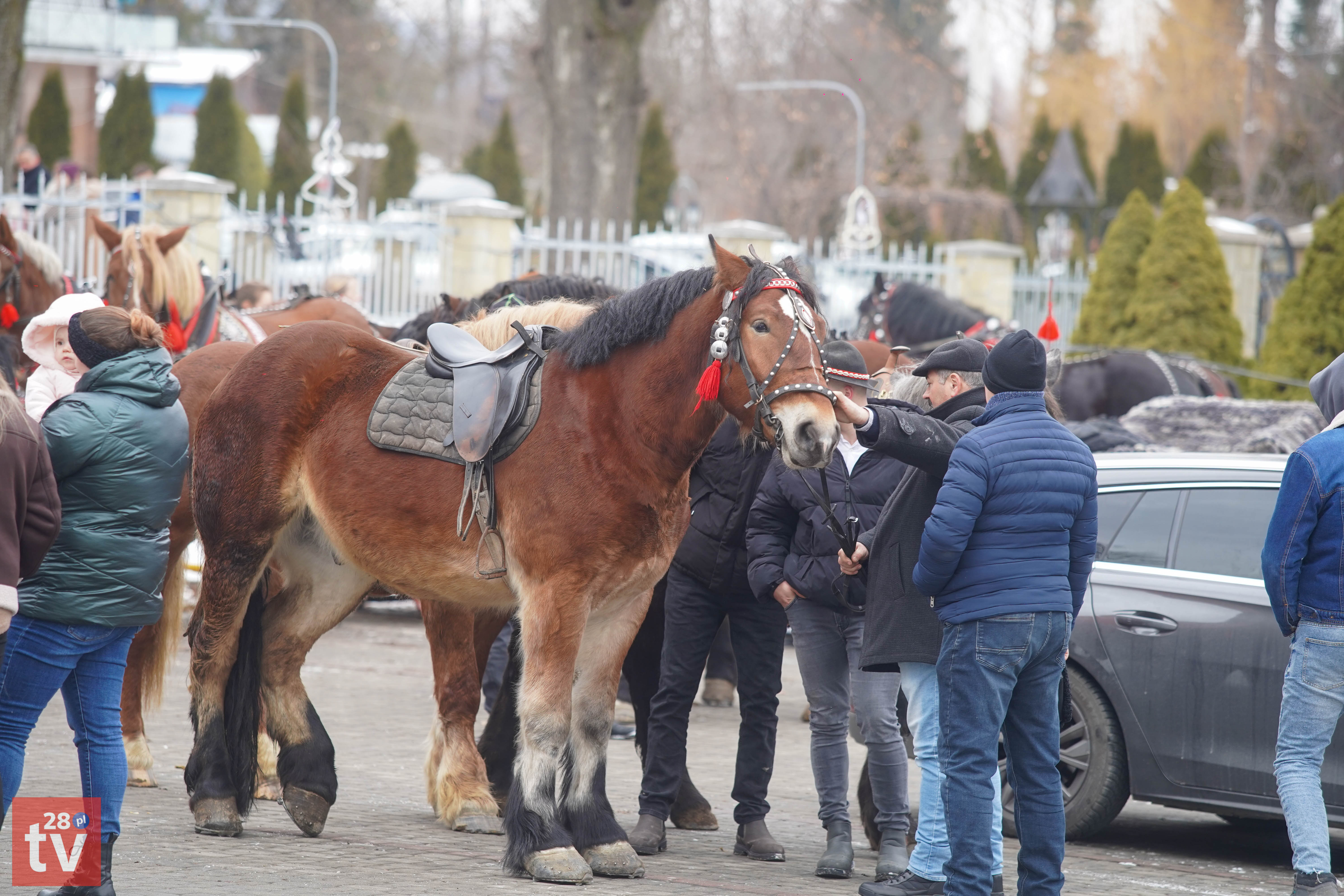 Na koniach, furmankami i pieszo. Barwny Orszak Trzech Króli przeszedł z Jurkowa do Półrzeczek
