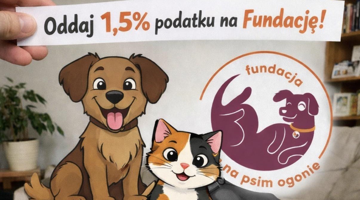 Fundacja „Na Psim Ogonie” prosi o wsparcie czworonożnych podopiecznych