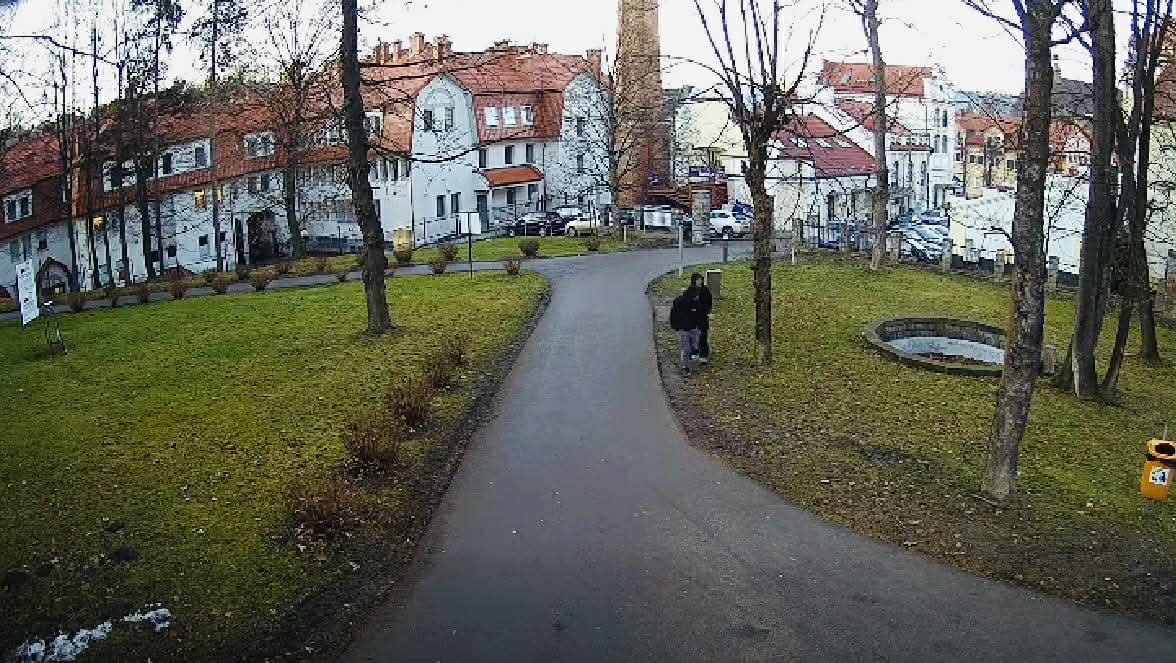 To mogli być oni. Policja szuka sprawców aktu wandalizmu w Parku Miejskim w Limanowej