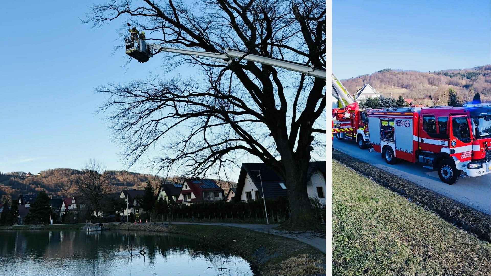 Kto, jak nie oni. Strażacy od trudnych zadań. Wrona utknęła na drzewie