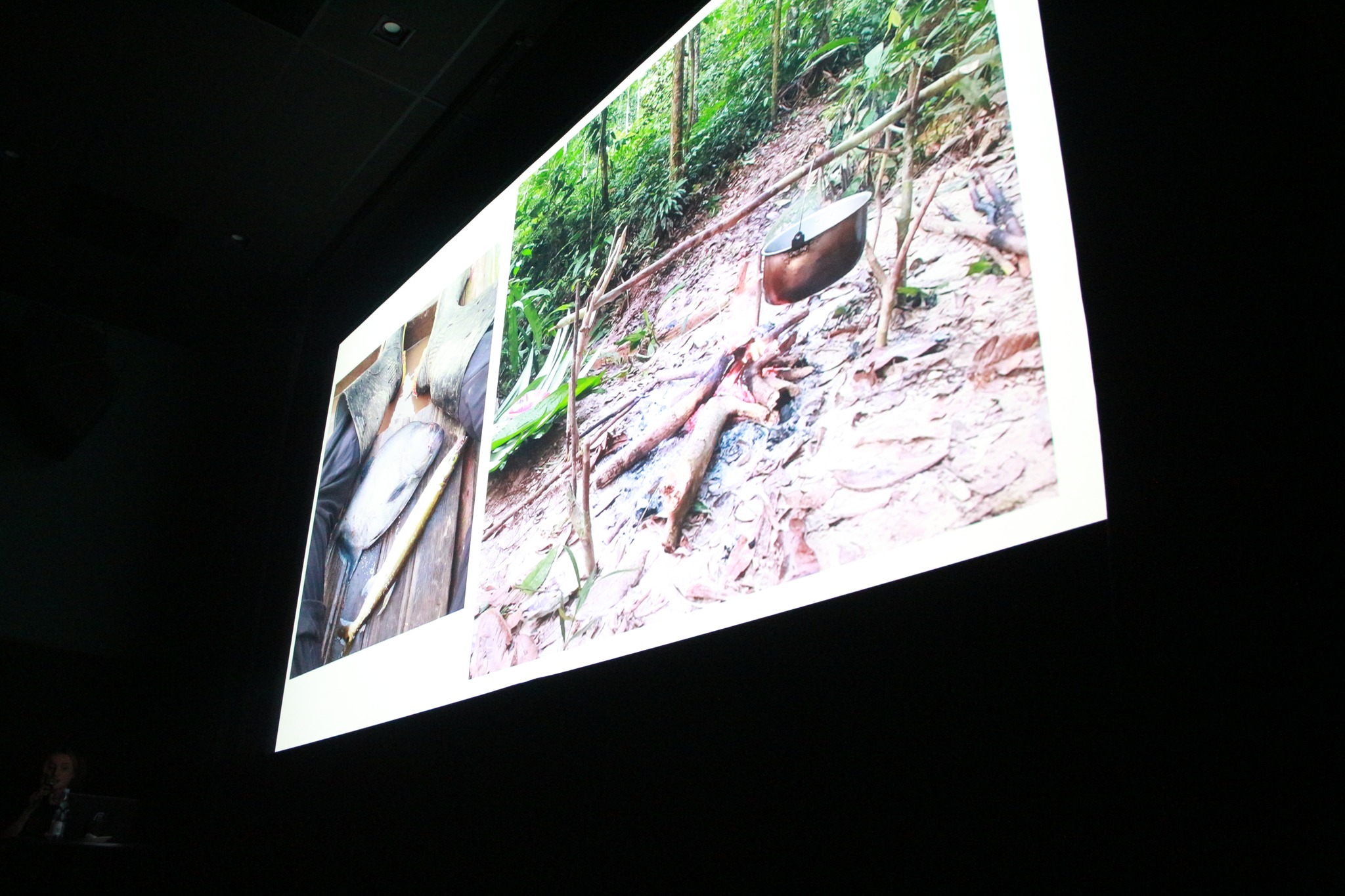 Fascynująca podróż z Mileną Mnich – „Wędrowanie na ekranie”