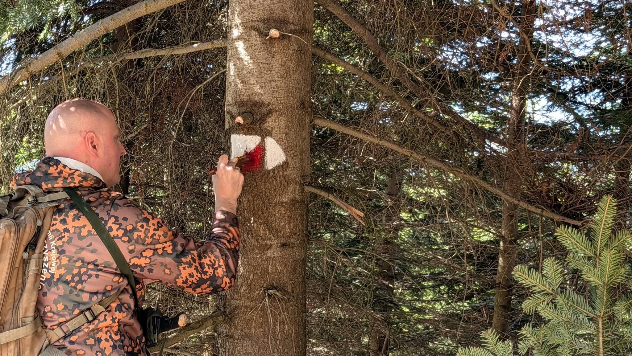 Prace rewitalizacyjne na ścieżkach edukacyjno-historycznych