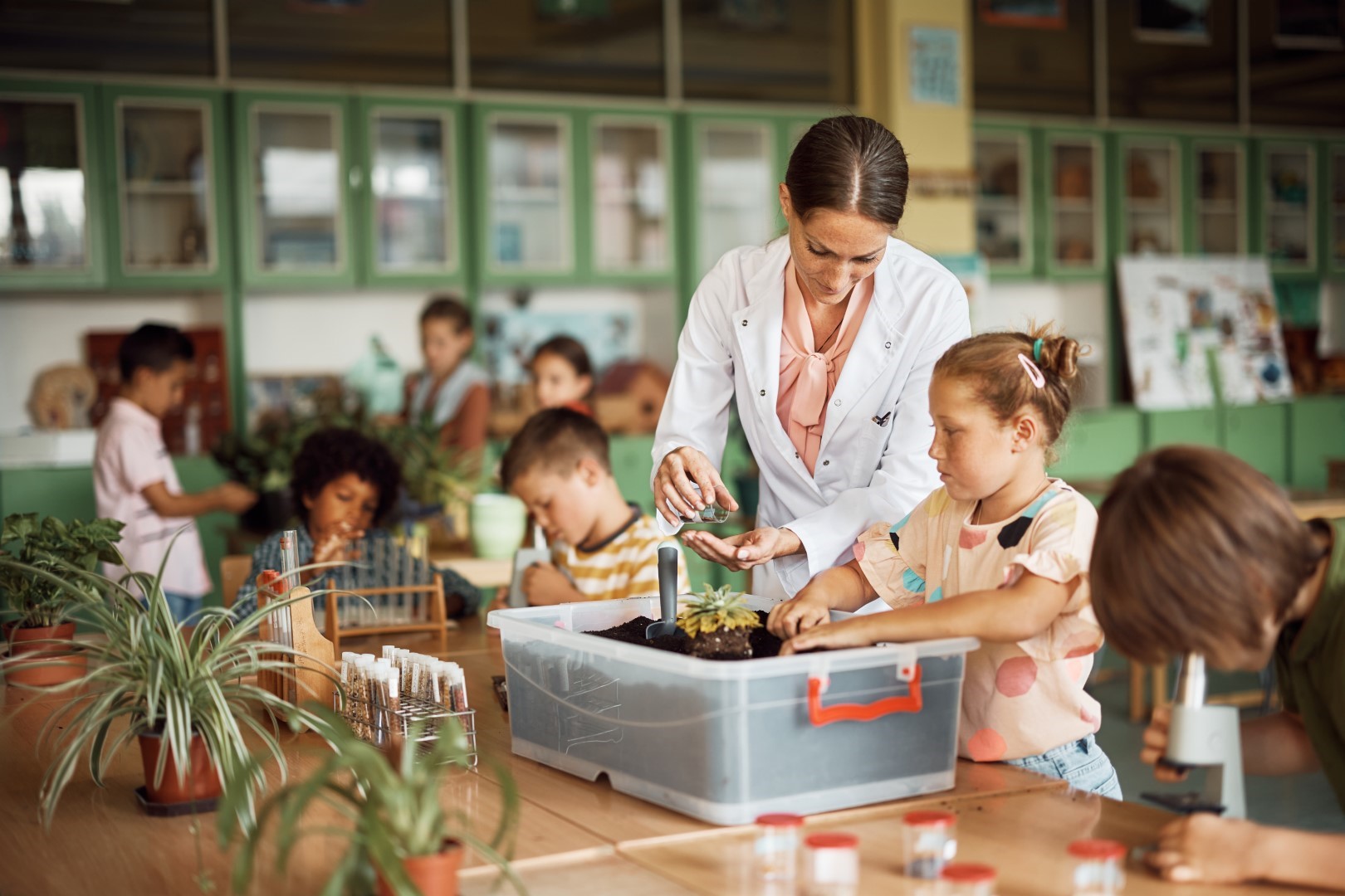 Co zrobić, aby pracować w przedszkolu? Postaw na sprawdzoną opcję kształcenia!