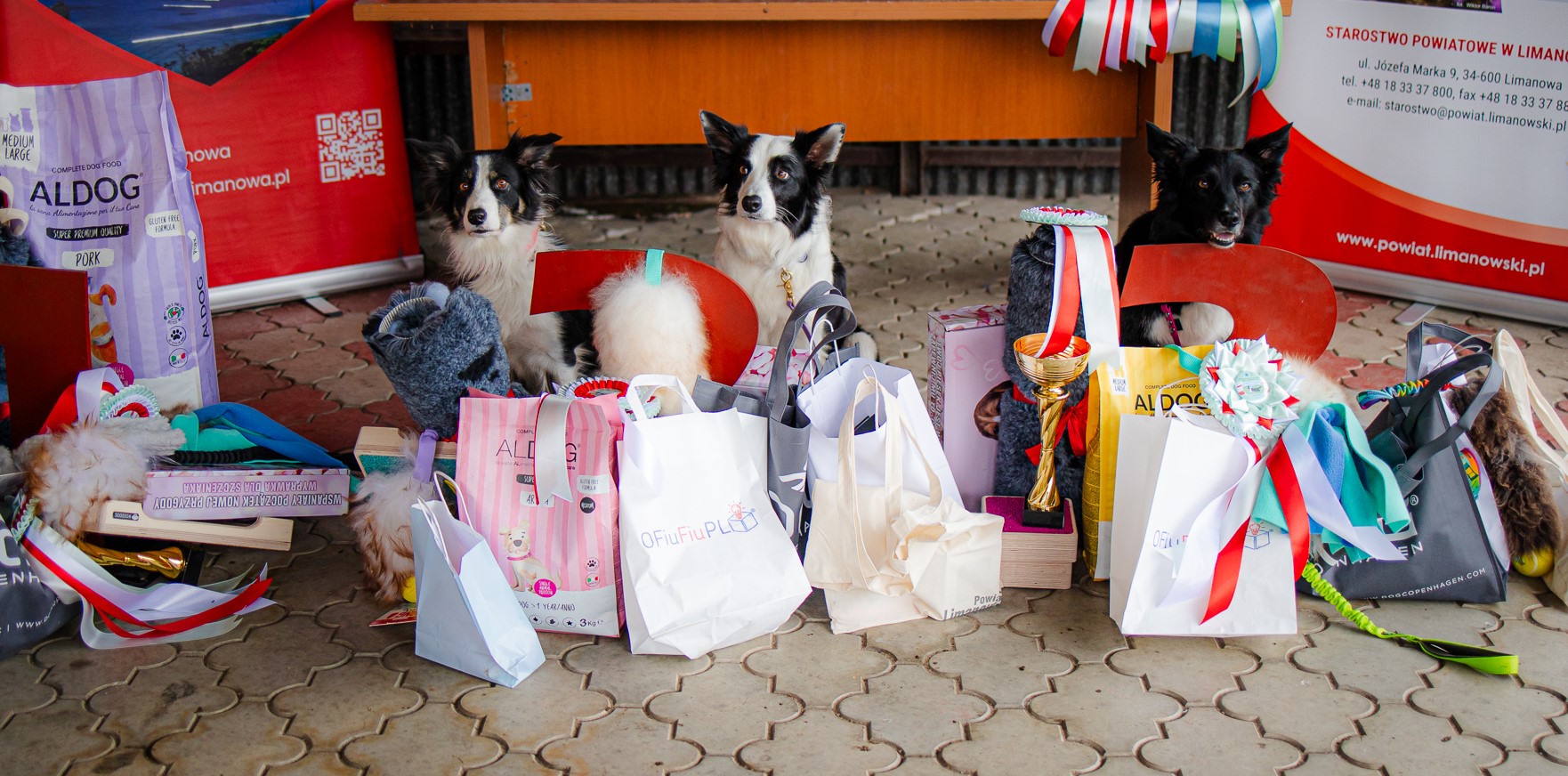 Wyniki kwalifikacji do Mistrzostw Świata Obedience 2026