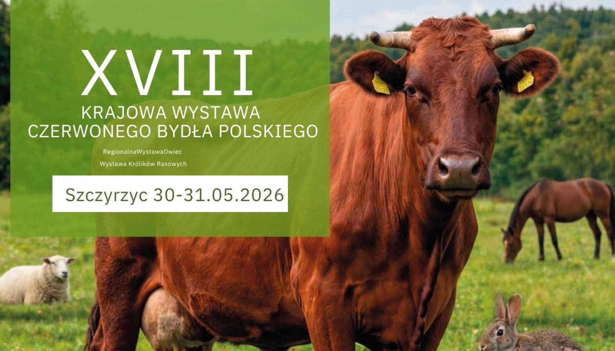 Zaproszenie. XVII Krajowa Wystawa Bydła Czerwonego i Dzień Dziecka