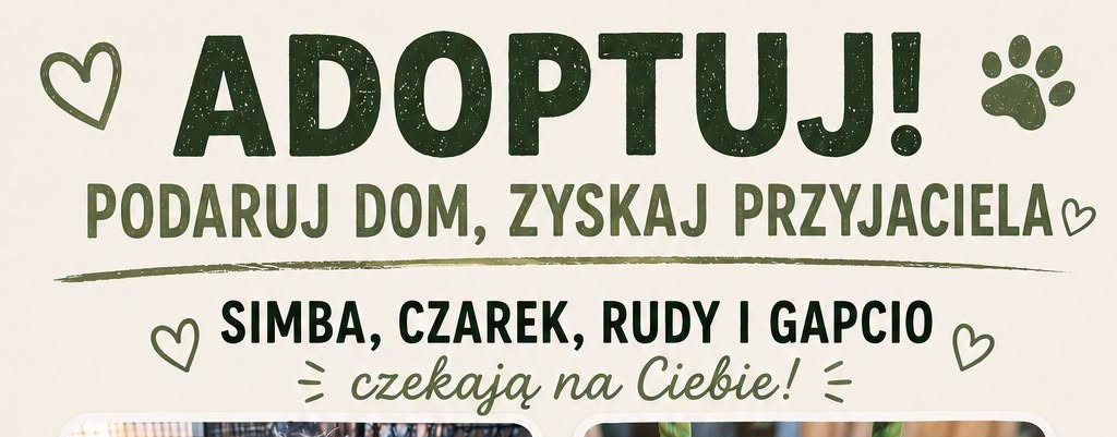 Psy z likwidowanego schroniska w Nowym Targu czekają na nowe domy