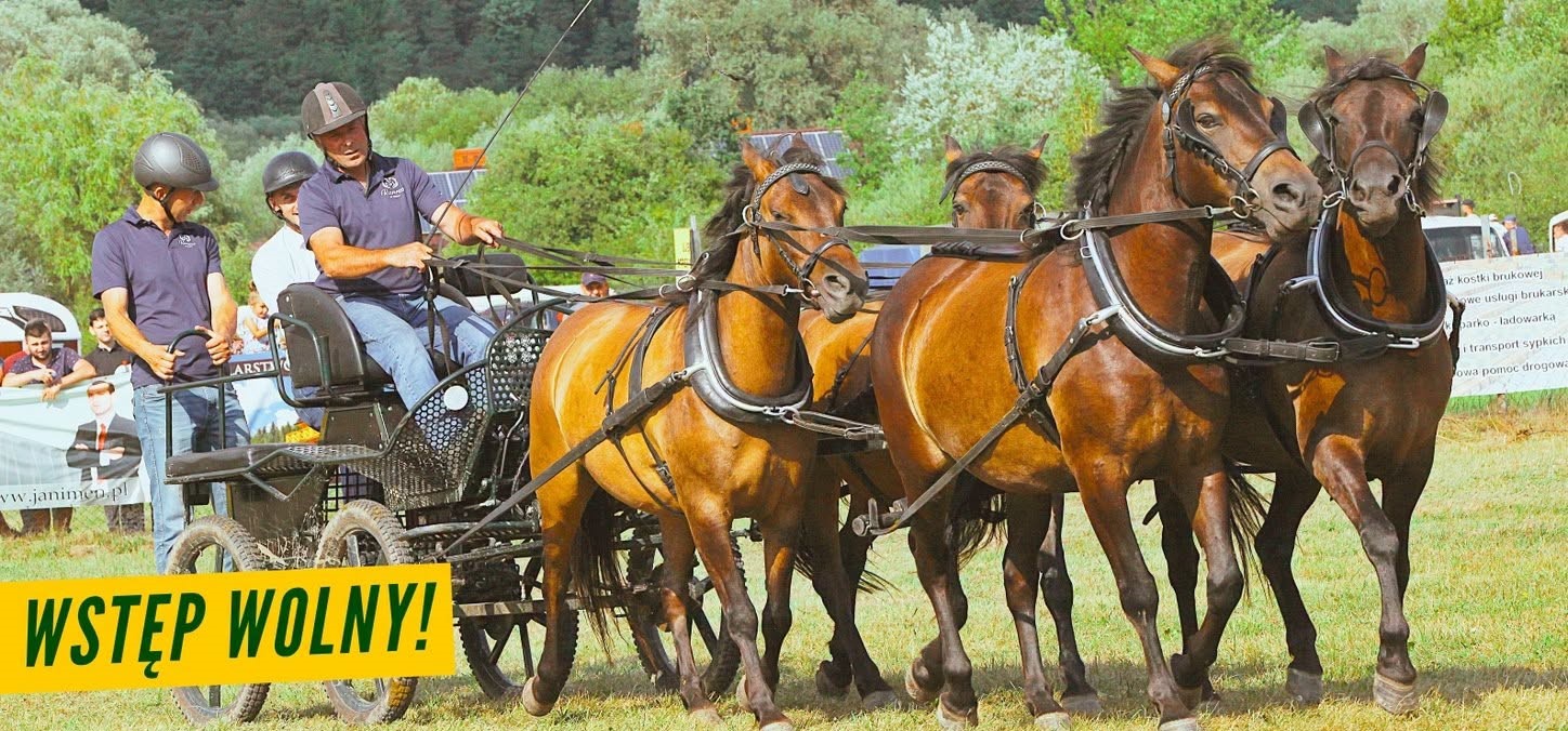 XVII Galicyjski Konkurs Powożenia Zaprzęgami Konnymi
