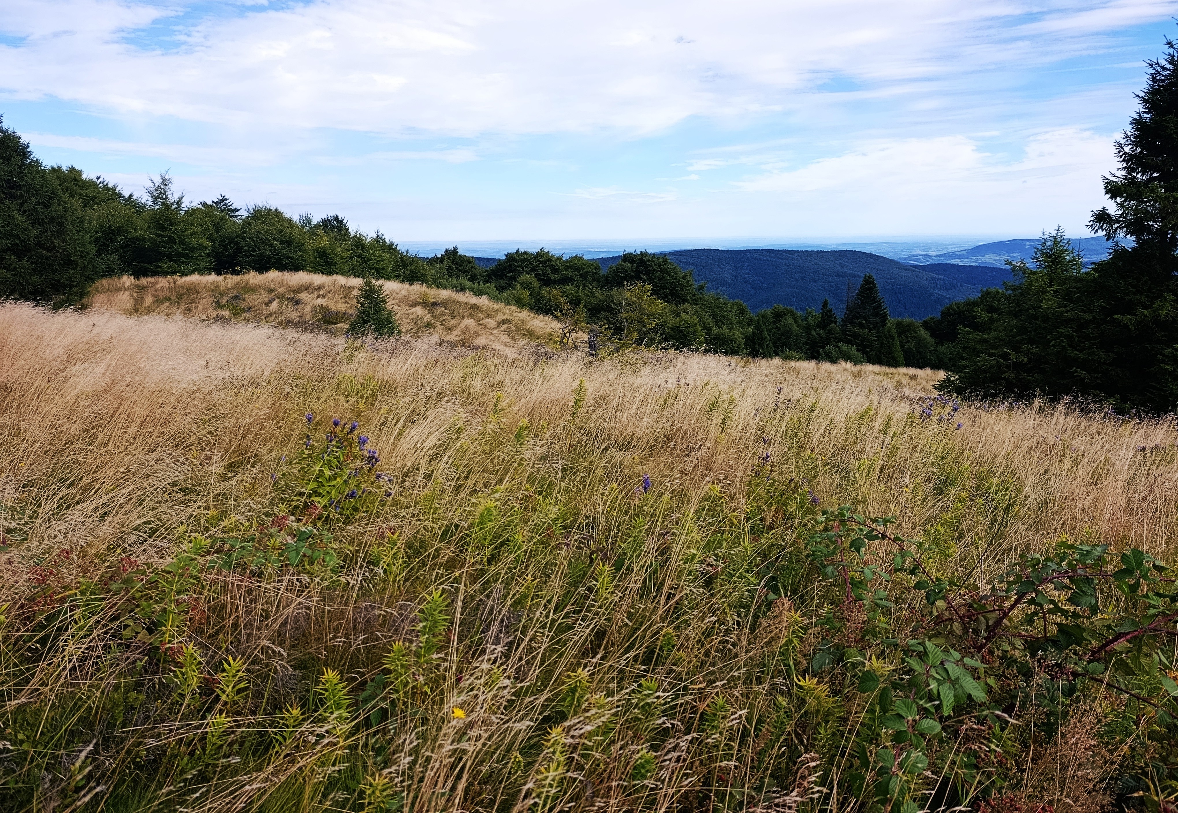 Piękne widoki i rodzinna atmosfera na Mogielicy